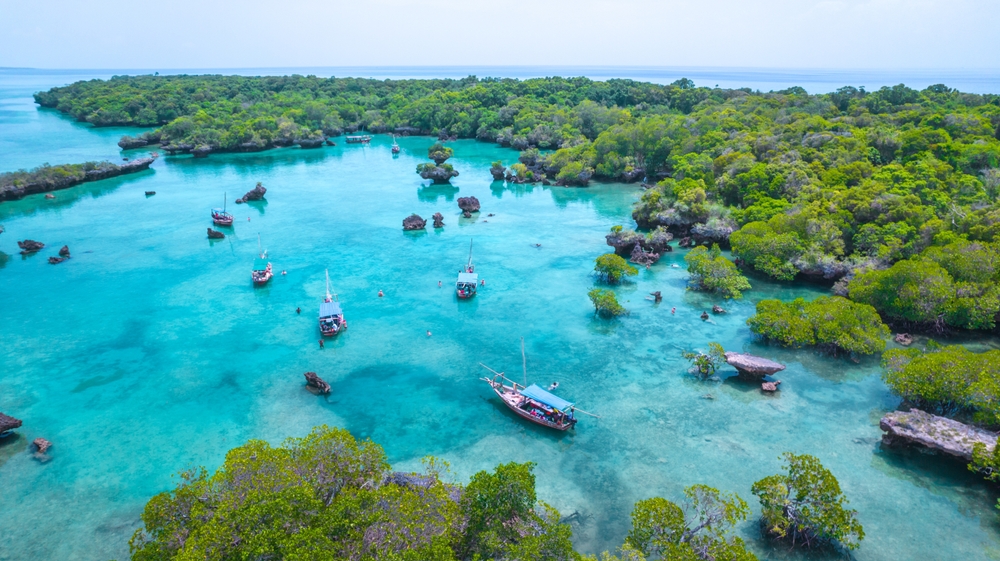 צמחיה מסביב למים בזנזיבר