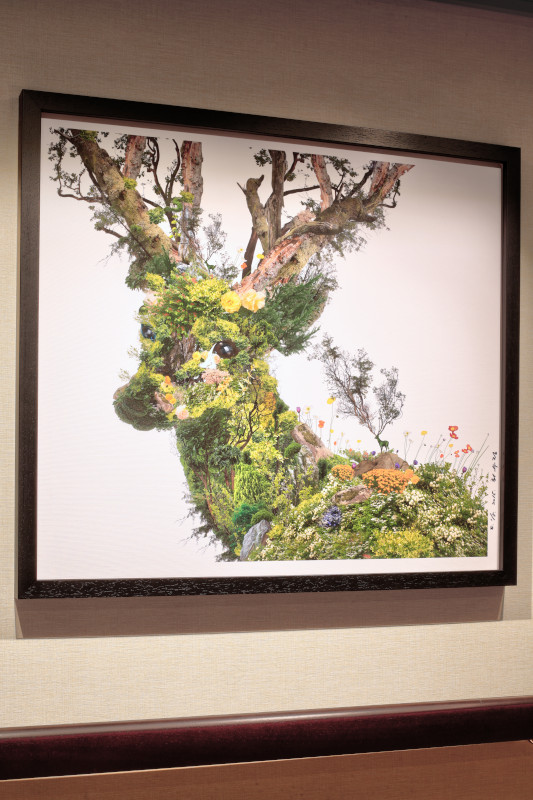 Artwork - Moss Deer - Deck 2/3 Aft
Rotterdam - Holland America Line