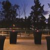 Hyatt Place San Jose/pinares - Bar